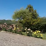 Apartment Mita Groznjan