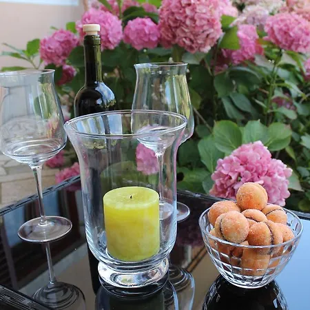 Apartment Mita *